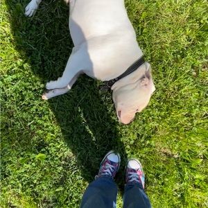 Meet your Posher, Sam